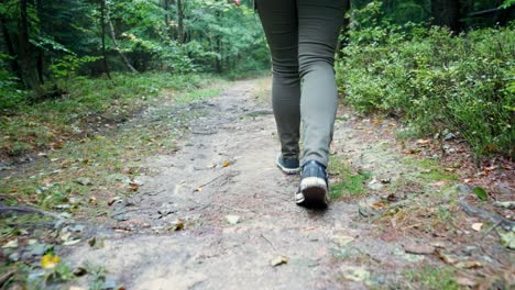 legs of a girl walking in converse shoes on a forest path in slow motion on a cold autumn morning