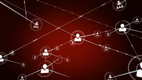 animación de la red de conexiones con los iconos de las personas sobre fondo rojo