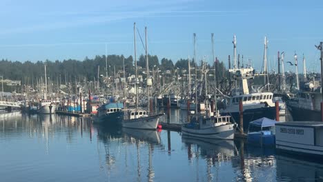 Many-Fishing-Boats-Moored-At-Marina-Of-Newport-By-Yaquina-Bay-In-Oregon,-USA