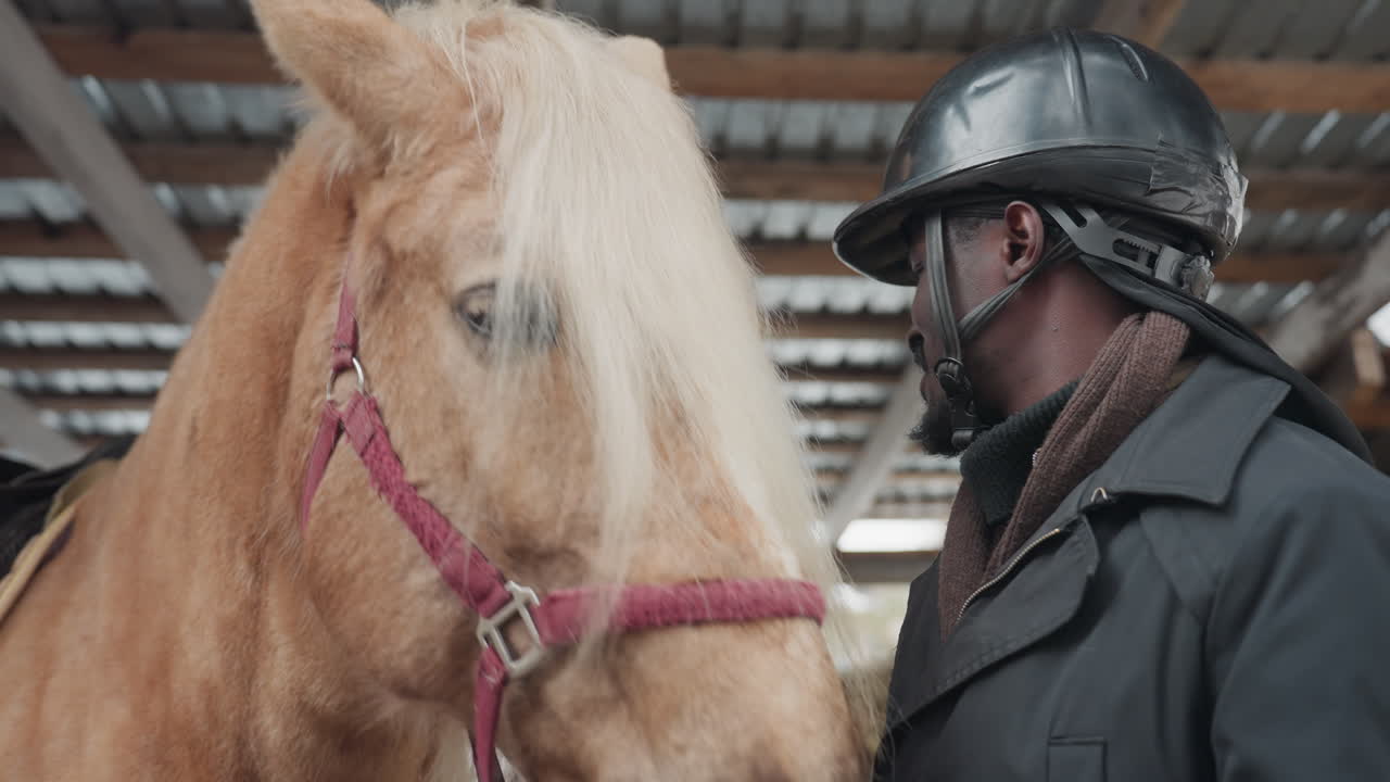 Уход за лошадью: грум чистит и моет лошадь породы паломино в конюшне, бережно ухаживает за гривой и мягко чистит морду щеткой, всадник в шлеме использует небольшую щетку, зимний свет в амбаре, заботливое взаимодействие между смотрителем и животным