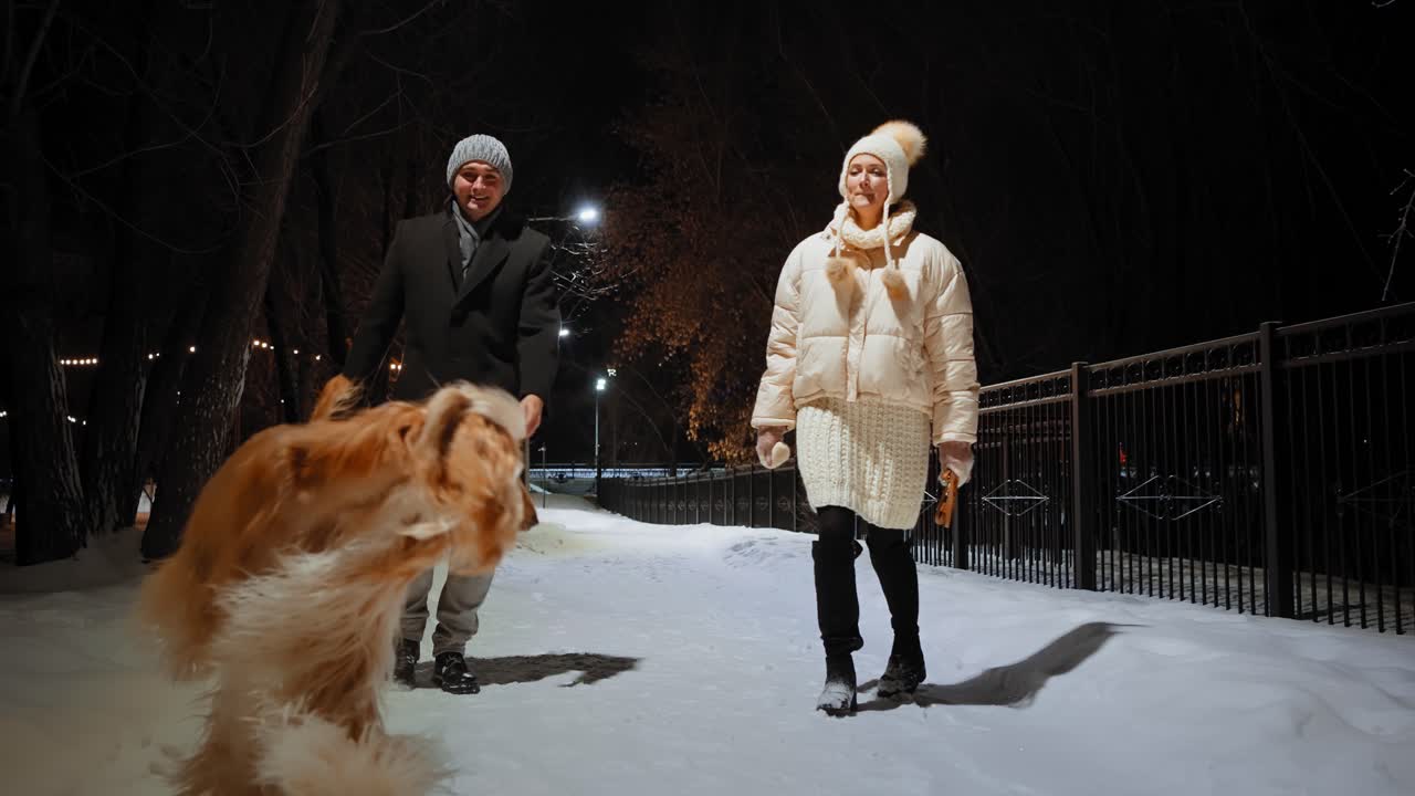 Couple walking their dog in the winter park at night