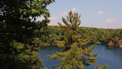 beautiful lake view off of the shore of pink lake in gatineau park, quebec