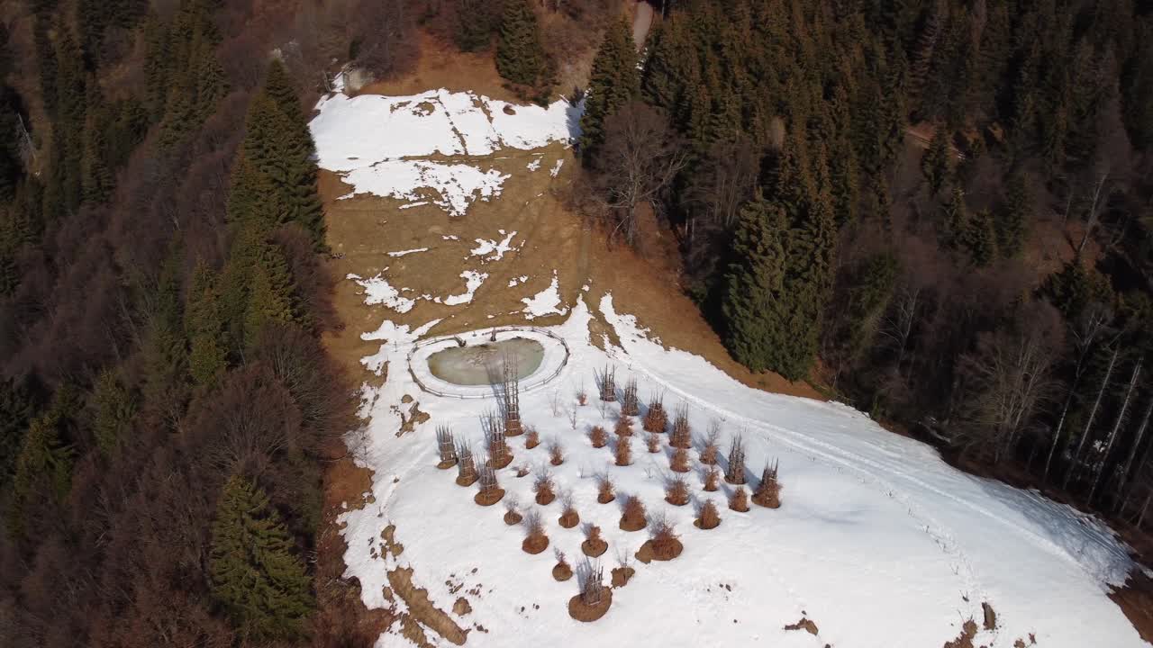 растительный собор, художественная работа джулиано маури в парке ороби, бергамо, италия