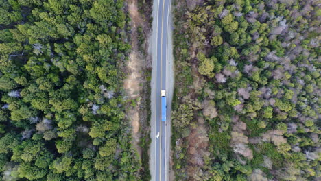 vista de arriba hacia abajo de un camión que conduce en la ruta 40 en argentina entre árboles verdes y marrones en la carretera, vista desde arriba, moviéndose con el camión