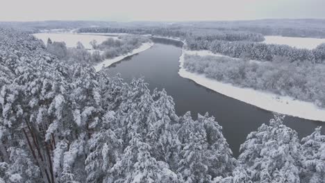 尼里斯河 (neris river) 在冬天蜿蜒穿過雪覆蓋的森林