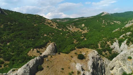 paisaje montañoso con bosques exuberantes y rocas