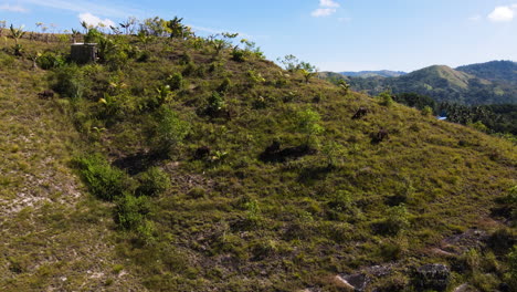 Herd-Of-Buffalo-Horns-Grazing-Over-Pasture-Mountains-In-Sumba-Island,-Indonesia