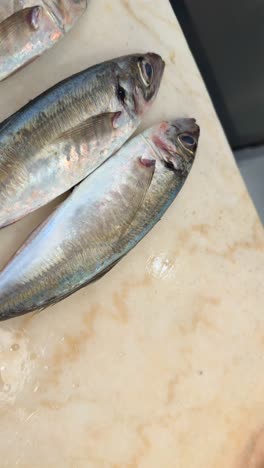 raw fish with flies on a counter