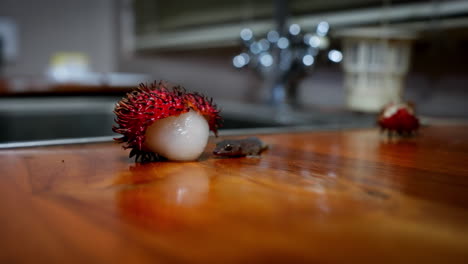 pequeño animal reptil, delicioso, sabroso alimento dulce, fruta fresca