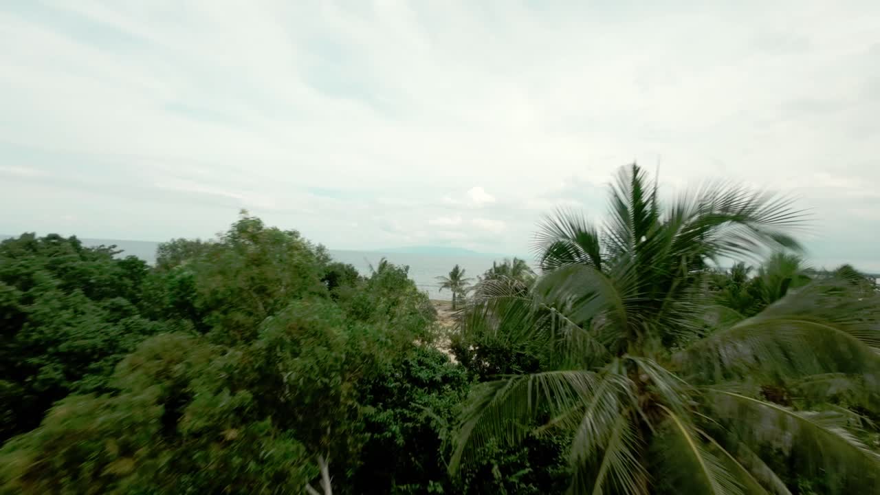 fpv drone shot de exuberante jungla hacia la orilla de la playa en bohol, filipinas