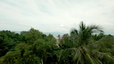 FPV-drone-shot-of-Lush-jungle-towards-beach-shore-in-Bohol,-Philippines