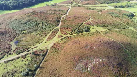 aerial birdseye view rural colourful heather rugged welsh mountain valley countryside slow pull back