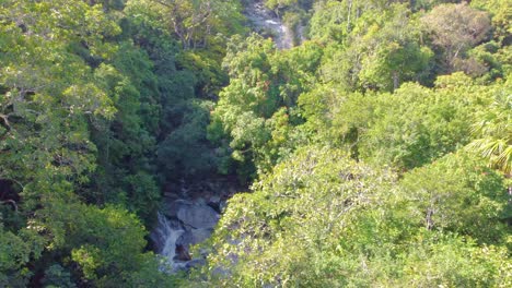 Dense-Tropical-Jungle-With-Flowing-Rocky-River-In-Santa-Marta,-Magdalena,-Colombia