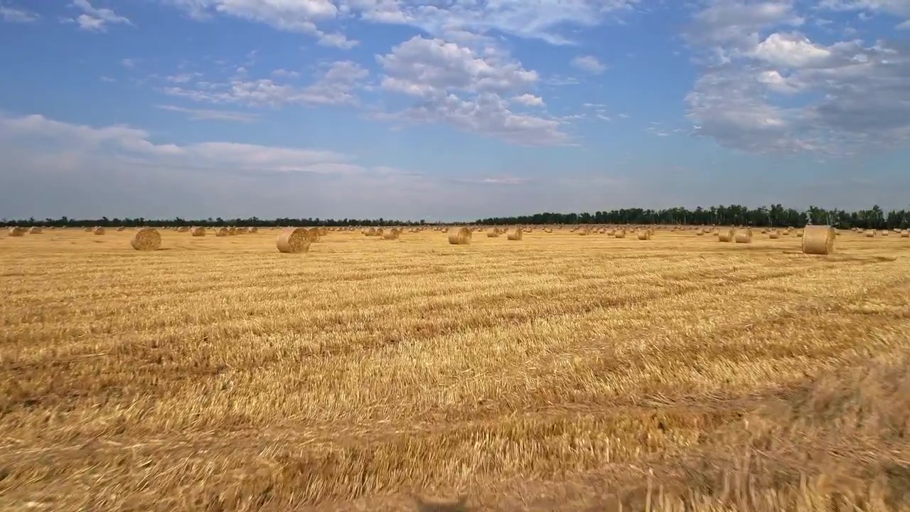 Fast drone skim rushes just above wheat stubble between scattered round straw bales creating strong parallax and foreground blur while a cloud filled blue sky spans the remote farm horizon