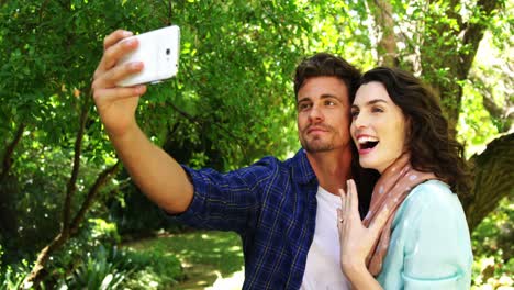 pareja romántica tomando una selfie desde un teléfono móvil en el parque