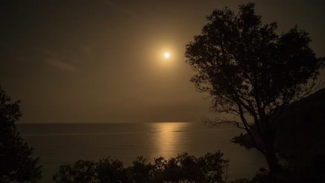 árbol de la luna 4k 04