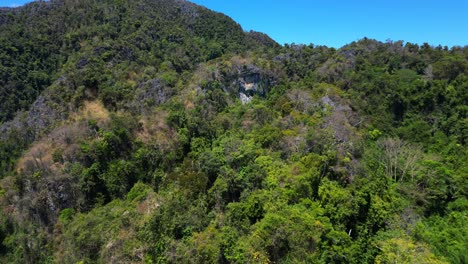 Unberührte-Naturunzugängliche-Terra-Natur-Dschungel-Berge