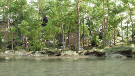 tranquil forest lake