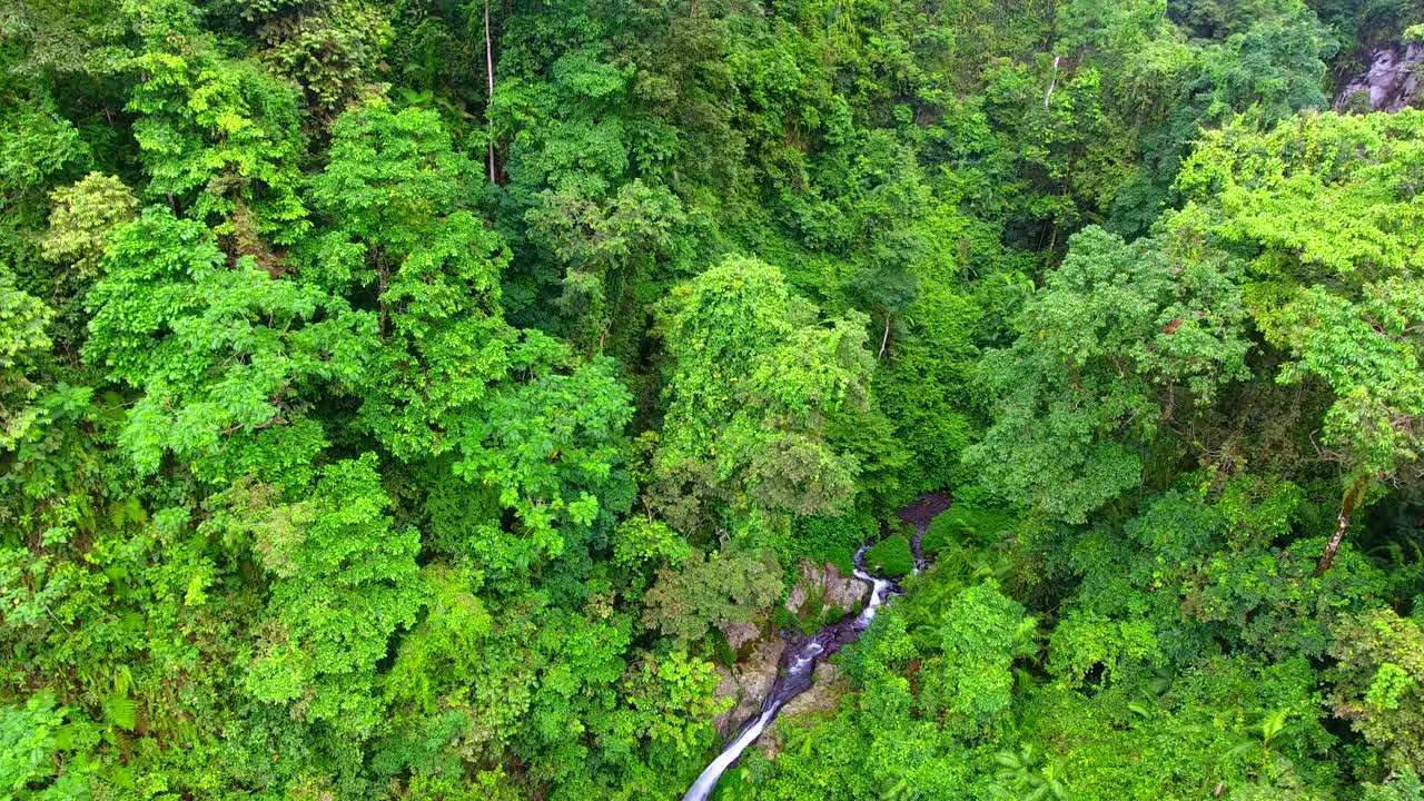 vista aérea de la cascada tiu kelep, en lombok, asia - reversa, disparo de drones