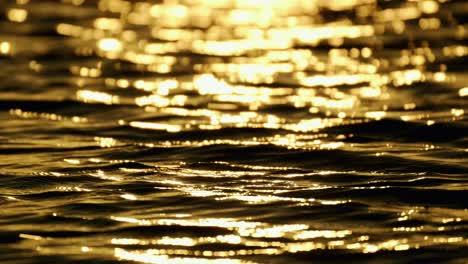 reflection of sunlight over sea surface in slow motion