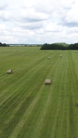 hay bales in a green field