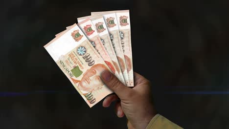 el dólar de singapur el ventilador de dinero de los billetes en la mano