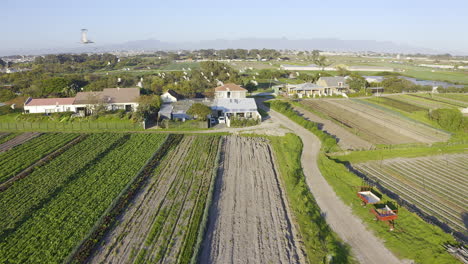 this farm is ready for harvest season