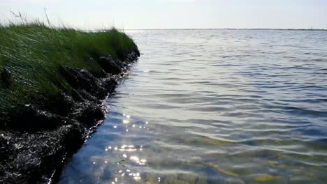 ángulo bajo de agua de la bahía lamiendo en el borde de la costa y pastos marinos