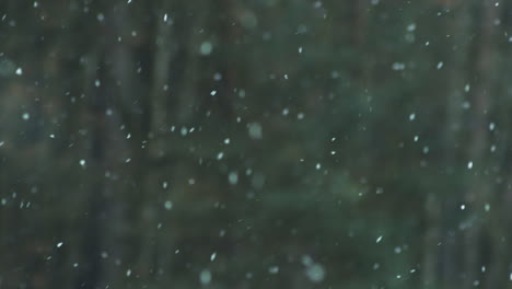 Friedliche-Schneeflocken-Fallen-Sanft-Mit-Wald-Im-Bokeh-hintergrund