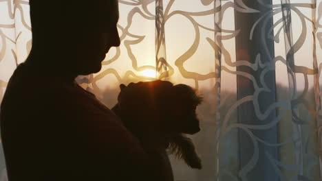 hombre acariciando amado perro - yorkshire terrier debería la casa junto a la ventana al atardecer