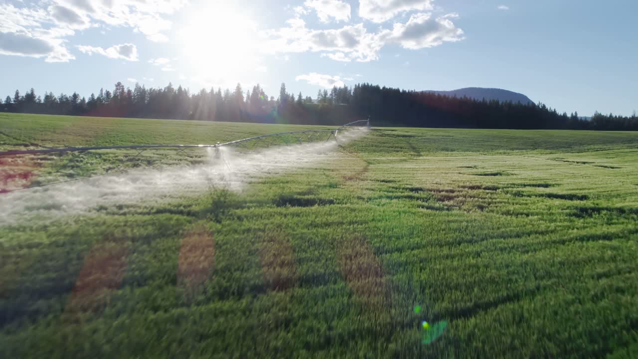 riego de los cultivos verdes 4k