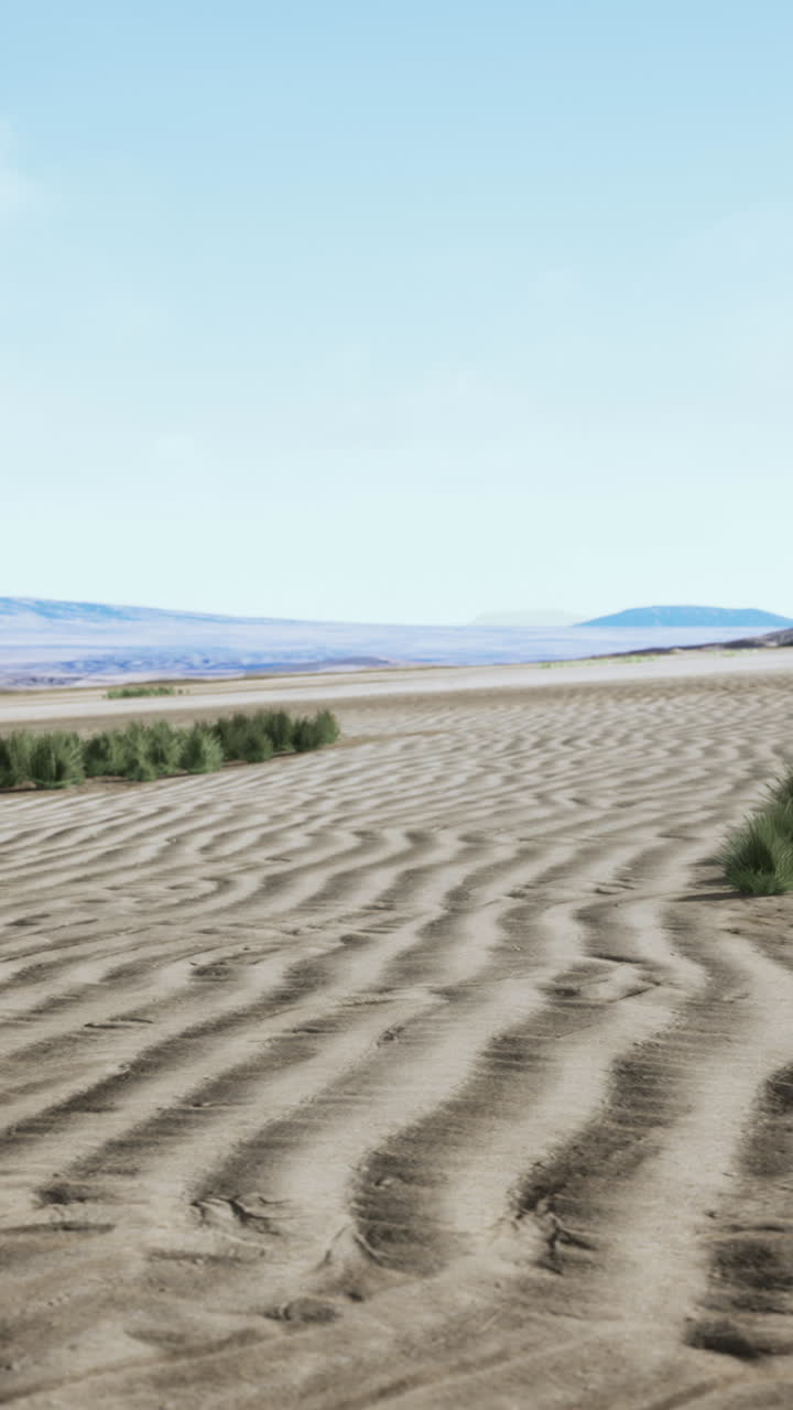 paisaje desértico con dunas de arena y hierba
