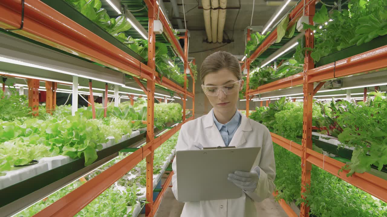 Female Agroengineer Inspecting Plants At Vertical Farm
