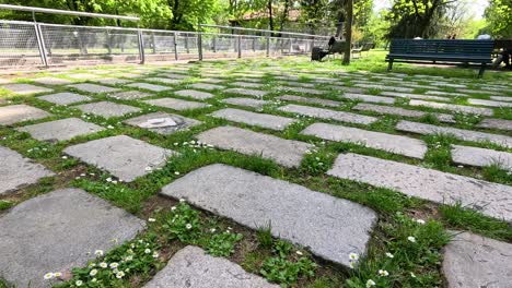 camino de piedra con hierba y flores en milán