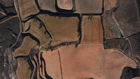 aerial view of terraced fields