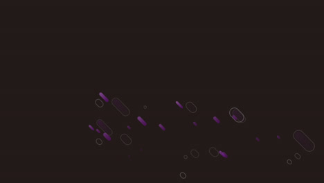animación de senderos de luz púrpura en movimiento sobre un fondo negro
