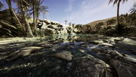 tranquil oasis with palm trees and shimmering water in a desert landscape