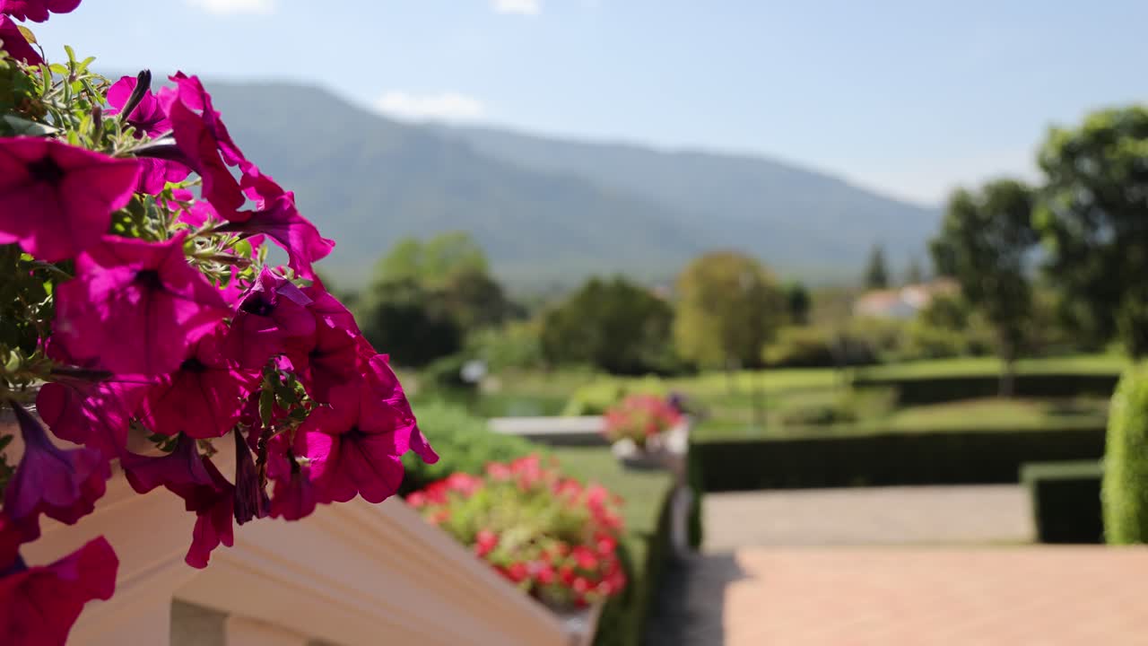 부부는 아름답게 조성 된 정원을 걸어다니고 있습니다.