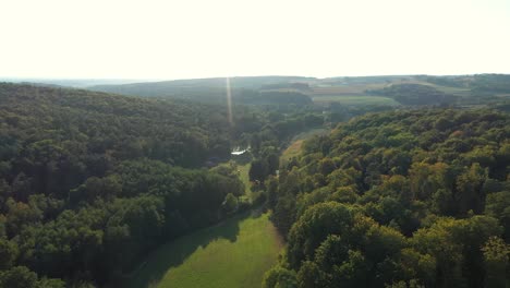 the beautiful green forest of island krk, croatia - aerial