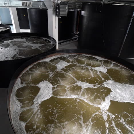 shrimp farm. containers with water on a shrimp farm inside.