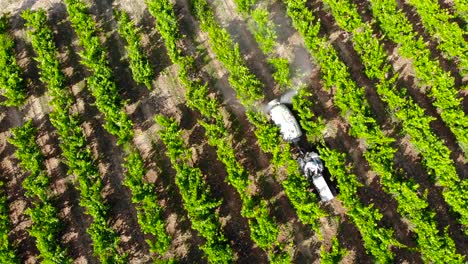 Antenne:-Kleiner-Traktor-Zwischen-Weinreben-Und-Weinbergen