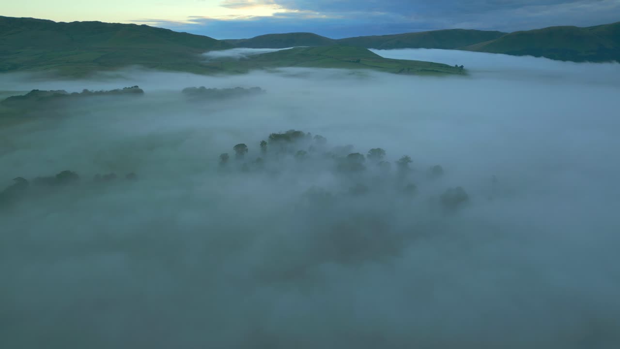 안개 위를 날아다니며, 안개에 싸인 시골 지역, 해가 뜨면 안개 밖으로 나타나는 유령 같은 나무들.