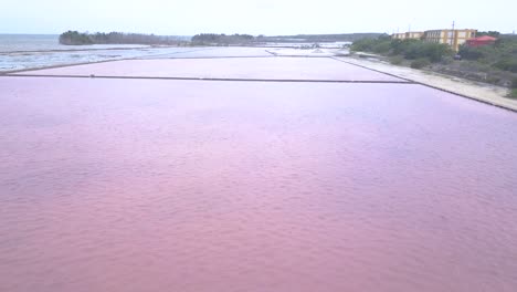 A-drone-flies-above-three-women-who-are-walking-along-a-pink-salt-flats-on-a-sunny-day-in-Puerto-Rico