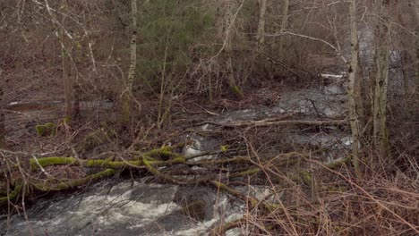 arroyo forestal en otoño en indre fosen, noruega - toma de ángulo alto