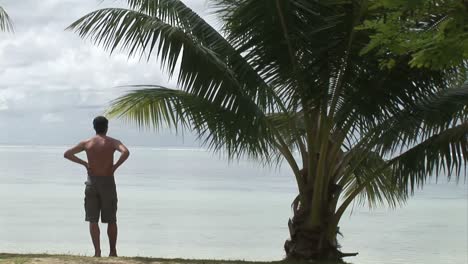 Material-De-Archivo-De-Una-Isla-Tropical