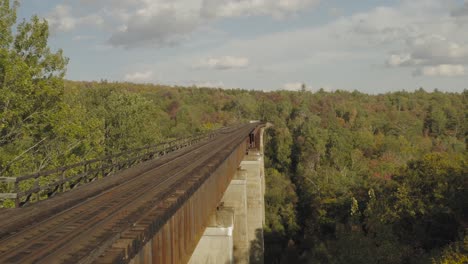 volando a través de los árboles a lo largo del costado de un caballete de ferrocarril oxidado durante una antena de la hora dorada de principios de otoño