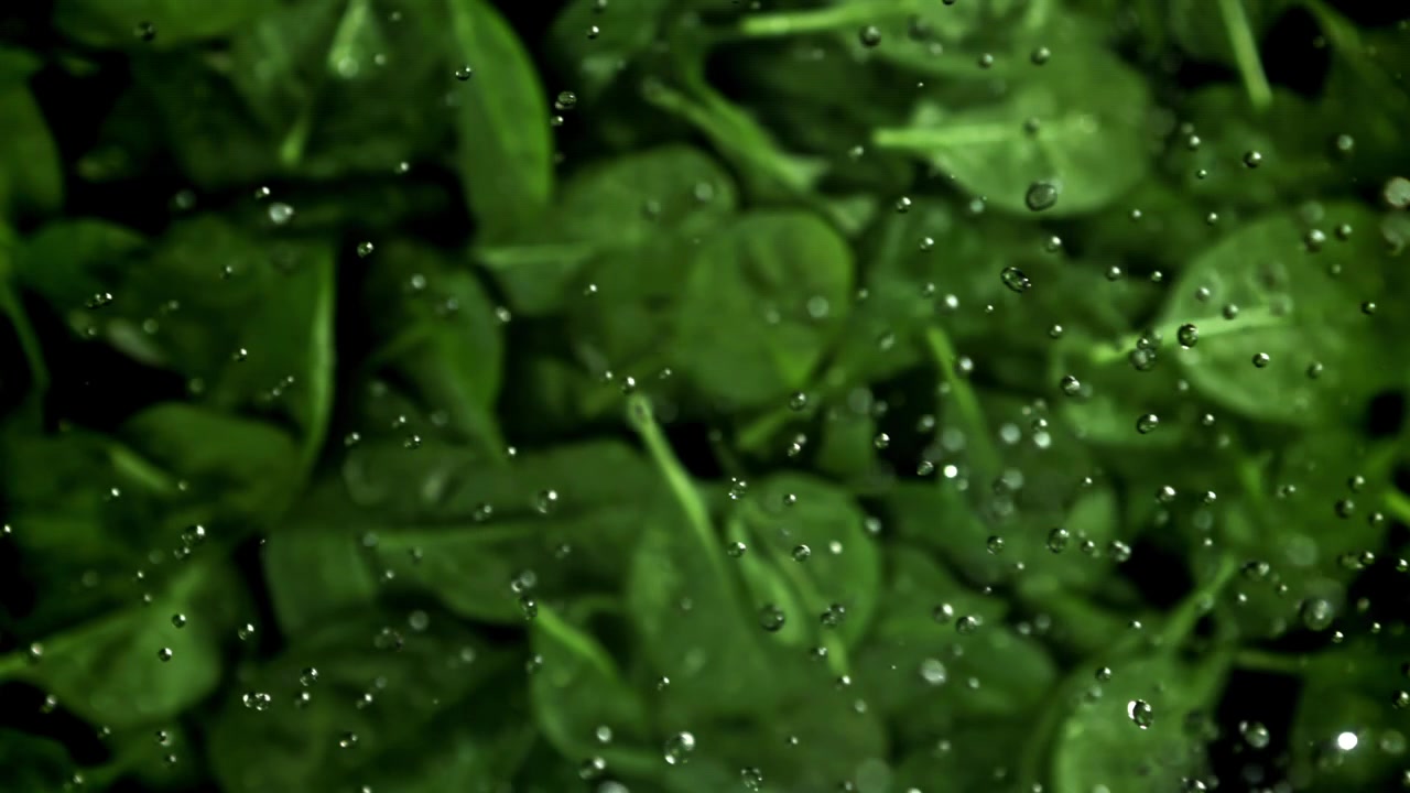 Foglie di spinaci freschi con goccioline d'acqua che cadono al rallentatore