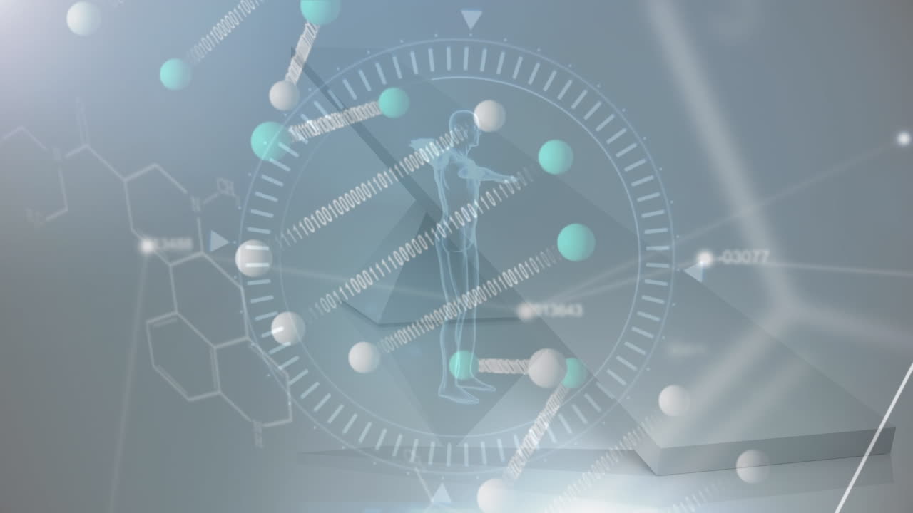 인체 모델과 디지털 인터페이스의 애니메이션