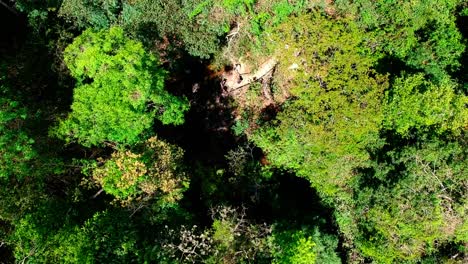 Aerial-drone-footage-descending-into-a-clearing-in-a-forest-with-showing-people-from-a-distance-playing-in-the-water