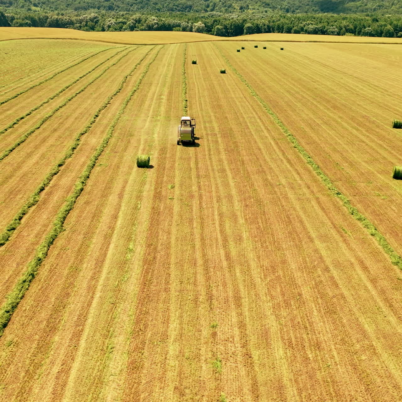 Aerial view of a tractor working on the field. Agricultural works of collecting dry grass in summer on the natural landscape.
